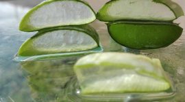 2. Inilah aloe vera, tanaman herbal dengan 75 senyawa aktif yang bermanfaat bagi kesehatan Anda. (Pixabay.com/mozo1901)


