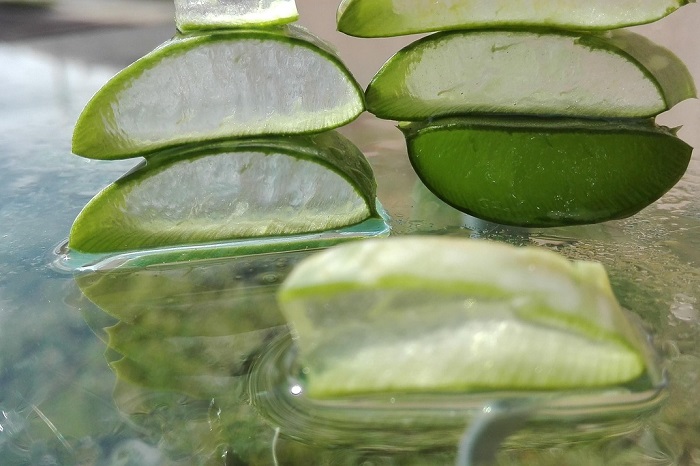2. Inilah aloe vera, tanaman herbal dengan 75 senyawa aktif yang bermanfaat bagi kesehatan Anda. (Pixabay.com/mozo1901)


